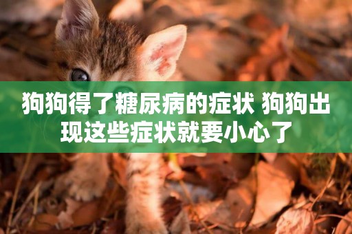 狗狗得了糖尿病的癥狀 狗狗出現這些癥狀就要小心了