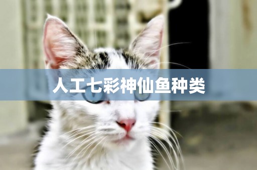 人工七彩神仙魚種類