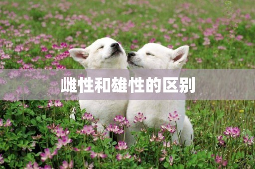 雌性和雄性的區別
