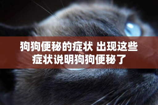 狗狗便秘的癥狀 出現這些癥狀說明狗狗便秘了