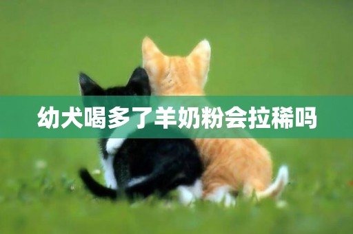 幼犬喝多了羊奶粉會拉稀嗎