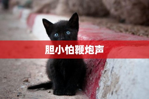 膽小怕鞭炮聲