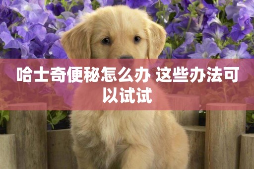 哈士奇便秘怎么辦 這些辦法可以試試