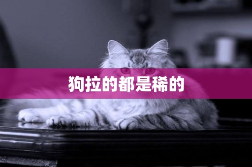 狗拉的都是稀的