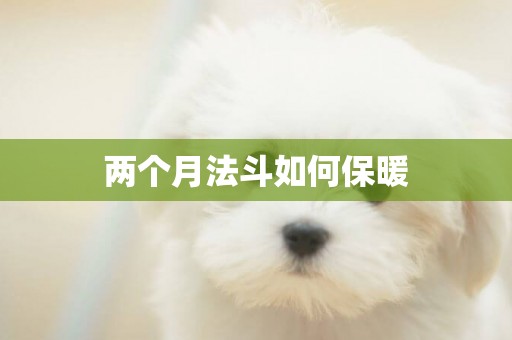 兩個月法斗如何保暖