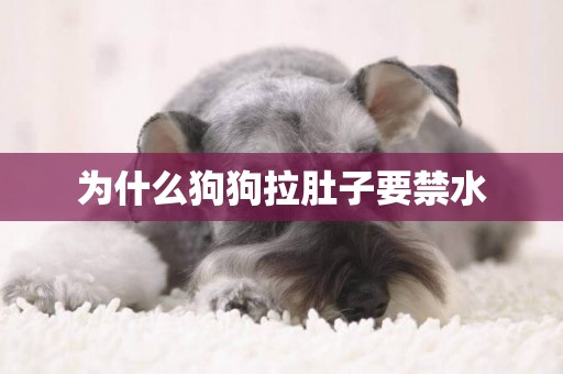 為什么狗狗拉肚子要禁水