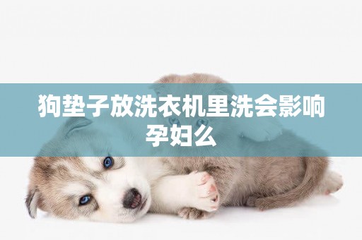 狗墊子放洗衣機里洗會影響孕婦么