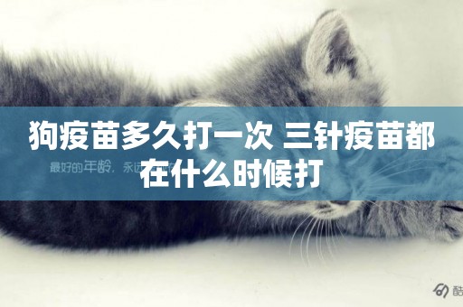 狗疫苗多久打一次 三針疫苗都在什么時候打