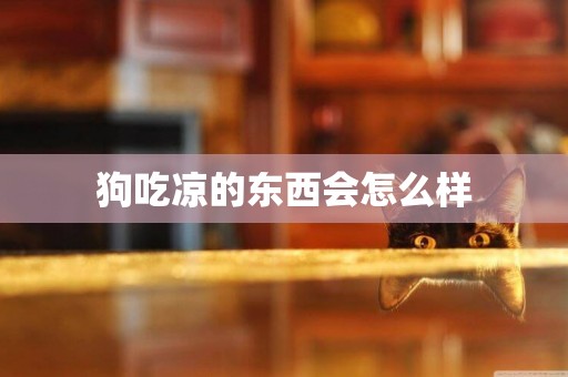 狗吃涼的東西會怎么樣