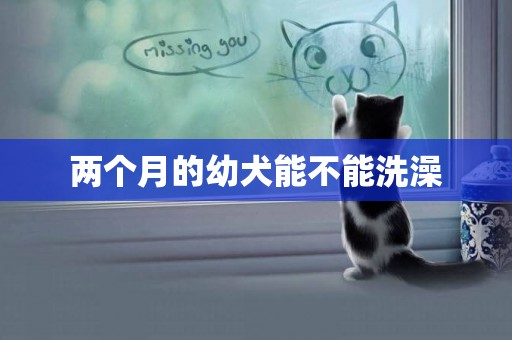 兩個月的幼犬能不能洗澡
