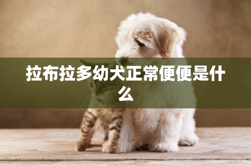 拉布拉多幼犬正常便便是什么