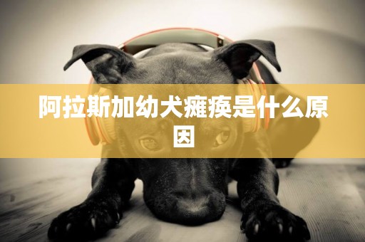 阿拉斯加幼犬癱瘓是什么原因