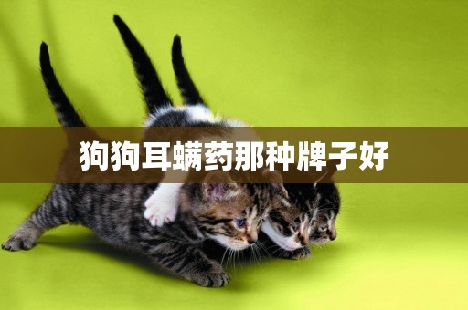 狗狗耳螨藥那種牌子好