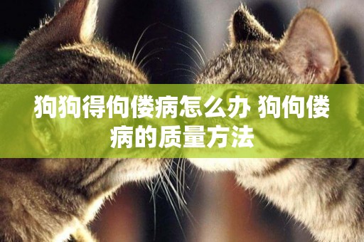 狗狗得佝僂病怎么辦 狗佝僂病的質量方法 狗狗得佝僂病怎么辦 狗佝僂病的質量方法