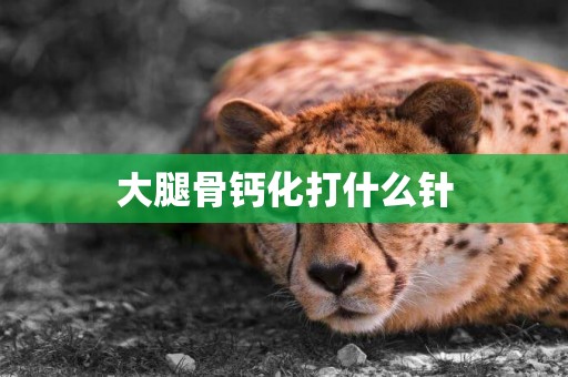 大腿骨鈣化打什么針