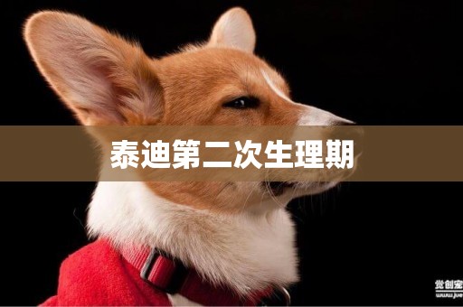 泰迪第二次生理期