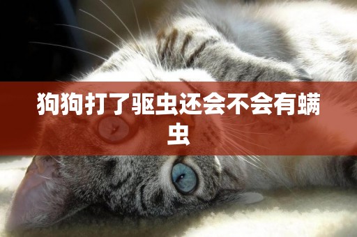 狗狗打了驅蟲還會不會有螨蟲