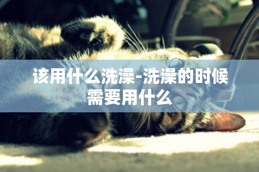 該用什么洗澡-洗澡的時候需要用什么