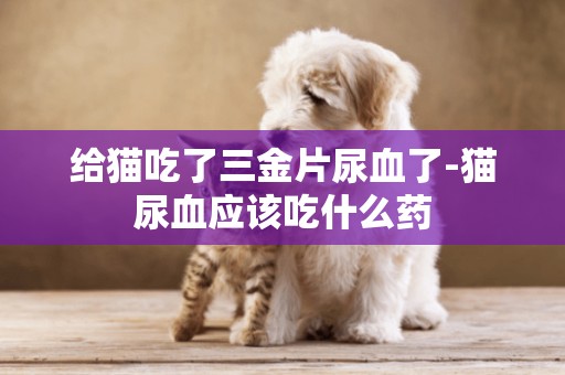 給貓吃了三金片尿血了-貓尿血應該吃什么藥
