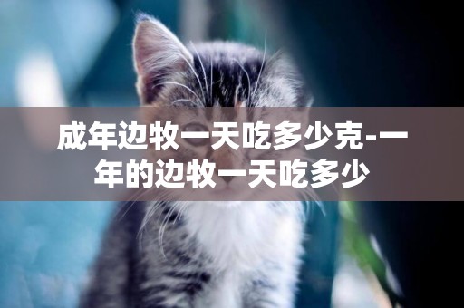成年邊牧一天吃多少克-一年的邊牧一天吃多少