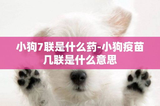 小狗7聯是什么藥-小狗疫苗幾聯是什么意思