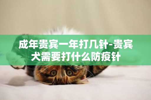 成年貴賓一年打幾針-貴賓犬需要打什么防疫針