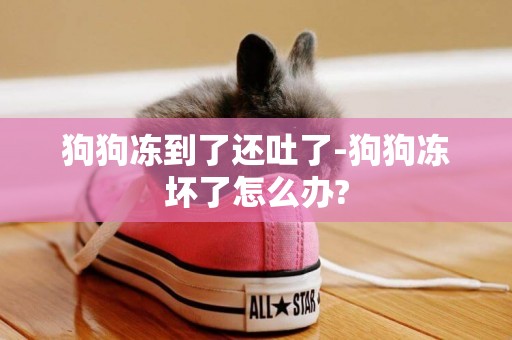 狗狗凍到了還吐了-狗狗凍壞了怎么辦?
