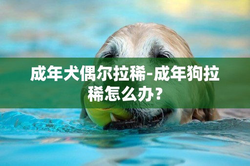 成年犬偶爾拉稀-成年狗拉稀怎么辦？