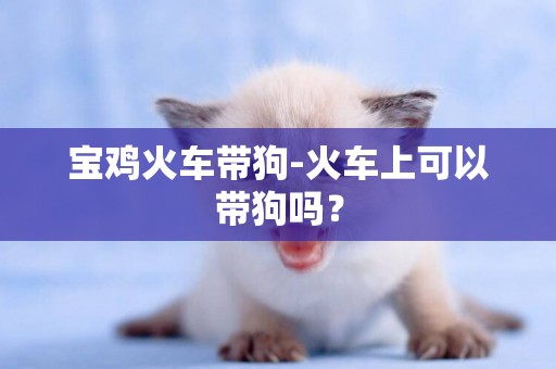 寶雞火車帶狗-火車上可以帶狗嗎？