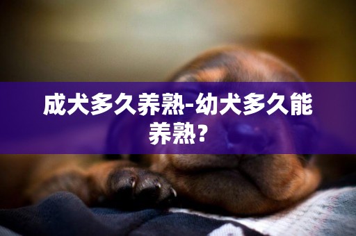 成犬多久養熟-幼犬多久能養熟？