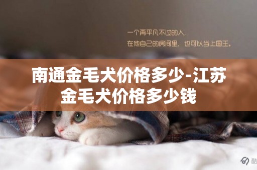 南通金毛犬價格多少-江蘇金毛犬價格多少錢