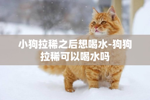 小狗拉稀之后想喝水-狗狗拉稀可以喝水嗎