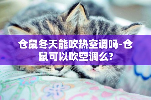 倉鼠冬天能吹熱空調嗎-倉鼠可以吹空調么?