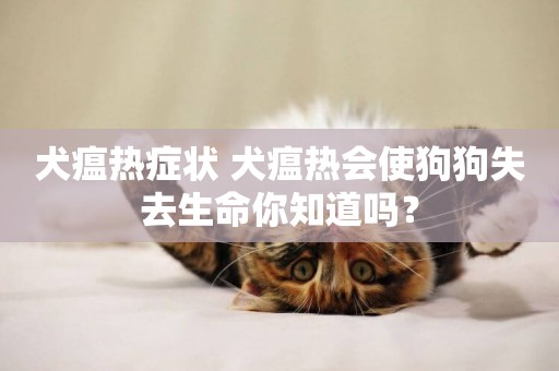 犬瘟熱癥狀 犬瘟熱會使狗狗失去生命你知道嗎？