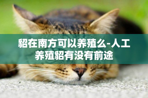 貂在南方可以養殖么-人工養殖貂有沒有前途