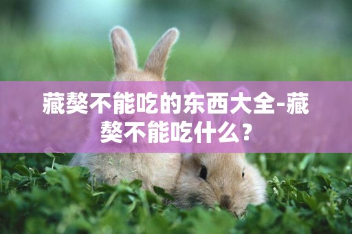 藏獒不能吃的東西大全-藏獒不能吃什么？