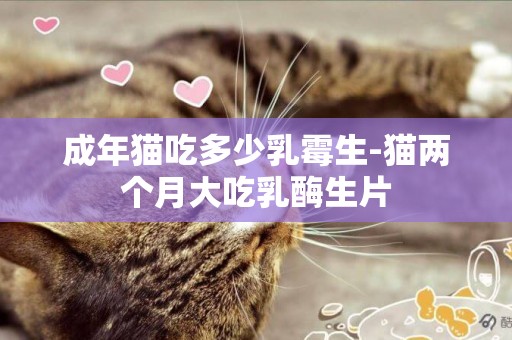 成年貓吃多少乳霉生-貓兩個月大吃乳酶生片