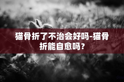 貓骨折了不治會好嗎-貓骨折能自愈嗎？