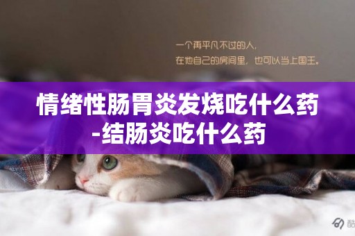 情緒性腸胃炎發燒吃什么藥-結腸炎吃什么藥