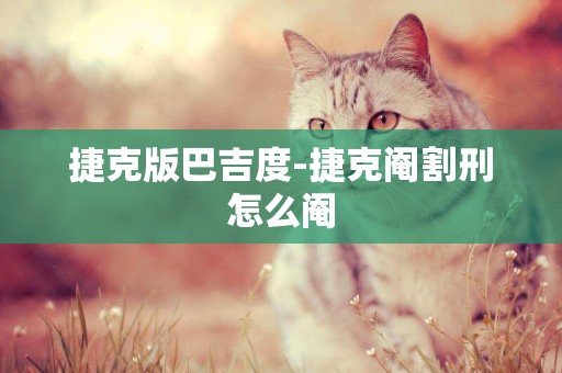 捷克版巴吉度-捷克閹割刑怎么閹