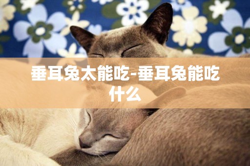垂耳兔太能吃-垂耳兔能吃什么