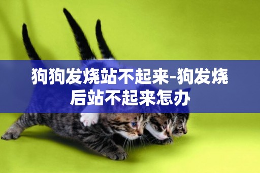 狗狗發燒站不起來-狗發燒后站不起來怎辦