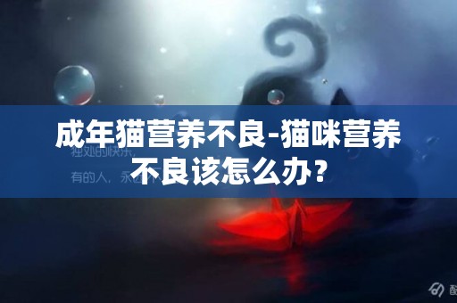 成年貓營養不良-貓咪營養不良該怎么辦？
