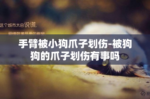 手臂被小狗爪子劃傷-被狗狗的爪子劃傷有事嗎
