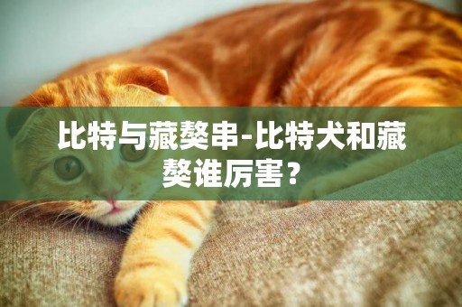 比特與藏獒串-比特犬和藏獒誰厲害？