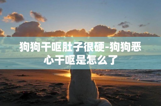 狗狗干嘔肚子很硬-狗狗惡心干嘔是怎么了
