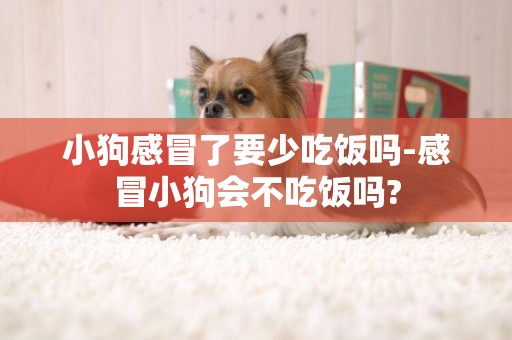 小狗感冒了要少吃飯嗎-感冒小狗會不吃飯嗎?