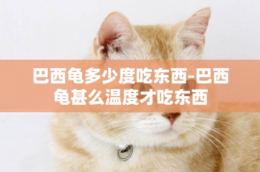 巴西龜多少度吃東西-巴西龜甚么溫度才吃東西