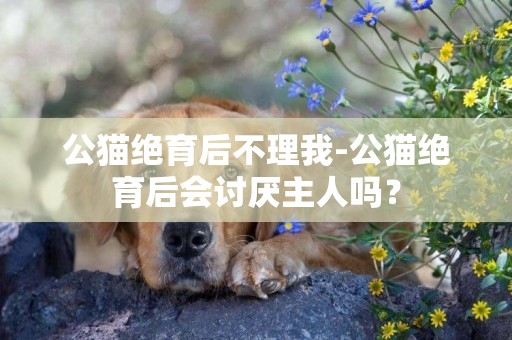 公貓絕育后不理我-公貓絕育后會討厭主人嗎？