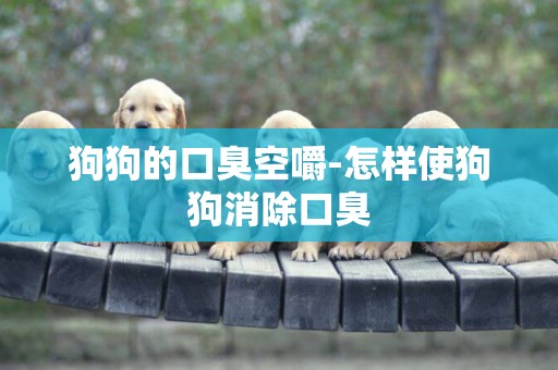 狗狗的口臭空嚼-怎樣使狗狗消除口臭